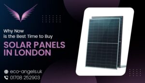 Buy Solar Panels in London